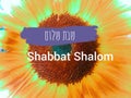 Text in Hebrew on flower