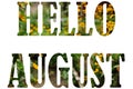 Text HELLO AUGUST from nature flowers background isolated on white Royalty Free Stock Photo