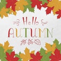 Text Hello autumn and maple leaves. Lettering. Colorful card. Hand drawning.