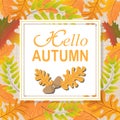 Text Hello Autumn of yellow leaves of oak, maple, birch. Royalty Free Stock Photo
