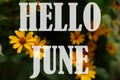 Text HELLO JUNE from nature flowers background isolated on white Royalty Free Stock Photo