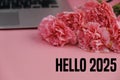 text of HELLO 2025 on pink background Royalty Free Stock Photo