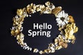 Text Hello Spring against a background of a mixture of dried flowers and flowers.