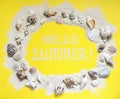 Text Hello Summer, exotic seashells and starfish collection flat lay on a yellow background