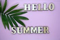 Text Hello summer and green leaf on pink background
