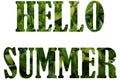 Text HELLO SUMMER from nature flowers background isolated on white Royalty Free Stock Photo