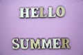 Text Hello summer wooden letter on pink background