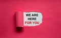 The text `we are here for you` appearing behind torn pink paper. Business concept. Copy space