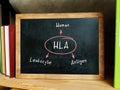 Text HLA Human Leukocyte Antigen on Concept photo. Still life with stack of colorful books and blackboard