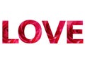 Text: love, made with roses letters, with colors red and pink