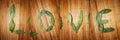 Text love written with leaves Royalty Free Stock Photo