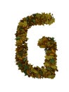 Text Made Out Of Autumn Leafe Typeface G Royalty Free Stock Photo