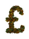 Text Made Out Of Autumn Leafe Typeface GBP