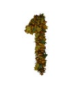 Text Made Out Of Autumn Leafe Typeface 1