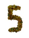 Text Made Out Of Autumn Leafe Typeface 5
