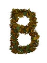 Text Made Out Of Autumn Leafe Typeface B