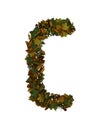 Text Made Out Of Autumn Leafe Typeface C