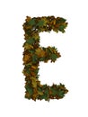 Text Made Out Of Autumn Leafe Typeface E