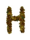 Text Made Out Of Autumn Leafe Typeface H Royalty Free Stock Photo