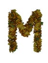 Text Made Out Of Autumn Leafe Typeface M