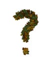 Text Made Out Of Autumn Leafe Typeface Question mark