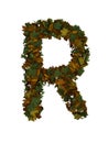 Text Made Out Of Autumn Leafe Typeface R