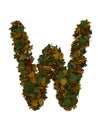 Text Made Out Of Autumn Leafe Typeface W