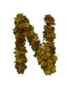 Text Made Out Of Autumn Leafe Typeface N