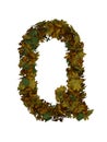 Text Made Out Of Autumn Leafe Typeface Q