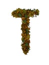 Text Made Out Of Autumn Leafe Typeface T