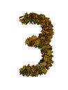 Text Made Out Of Autumn Leafe Typeface 3