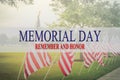 Text Memorial Day and honor on row of lawn American Flags Royalty Free Stock Photo