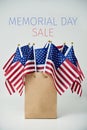 Text memorial day sale and american flags