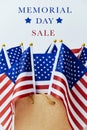 Text memorial day sale and american flags