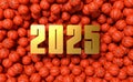 text 2025 in the middle of lots of basketball balls - new year card Royalty Free Stock Photo