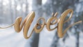 Text Noel in gold. Royalty Free Stock Photo