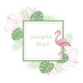 Text placeholder. Exotic tropical jungle rain forest bright green palm tree, pink flamingo birds, hibiscus and plumeria flowers fr