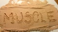 Text on protein powder - muscle Royalty Free Stock Photo