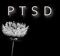 text ptsd on a black and white picture of a wild herb