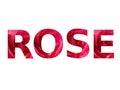 Text: Rose, made with roses letters, with color red and pink