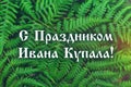 Text in Russian - With a holiday of Ivan Kupala. Russian holiday. Fresh green fern leaves on blur background in the garden. Textur Royalty Free Stock Photo