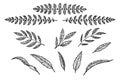 Text separator set of leaves and branches linear pattern