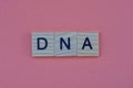 Text from the short word dna from gray square wooden letters