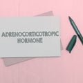 Text sign showing Adrenocorticotropic Hormone. Business approach hormone secreted by pituitary gland cortex Royalty Free Stock Photo