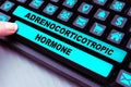 Text caption presenting Adrenocorticotropic Hormone. Business overview hormone secreted by pituitary gland cortex Royalty Free Stock Photo