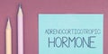 Text sign showing Adrenocorticotropic Hormone. Business showcase hormone secreted by pituitary gland cortex Royalty Free Stock Photo