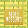 Text sign showing Aedes Mosquito. Conceptual photo the yellow fever mosquito that can spread dengue fever Colored memo reminder