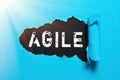 Text sign showing Agile. Business idea iterative approach to software delivery builds software incrementally Replacing
