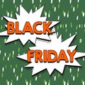 Text sign showing Black Friday. Business concept a day where seller mark their prices down exclusively for buyer