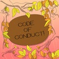 Text sign showing Code Of Conduct. Conceptual photo Ethics rules moral codes ethical principles values respect Tree Royalty Free Stock Photo